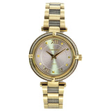 Special Stainless Steel with Mesh Analog Women watch