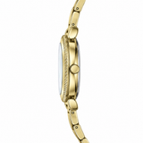 CK Halo – Gold, White